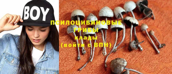 крисы Волоколамск
