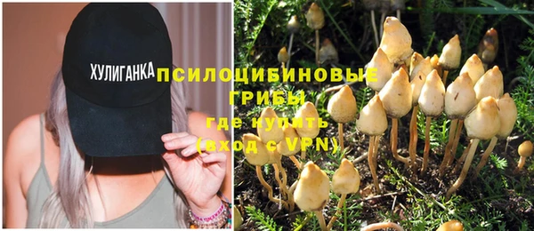 не бодяженный Гусь-Хрустальный