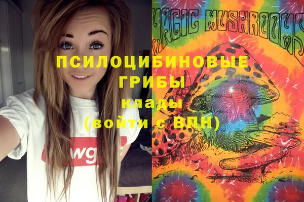 марки nbome Вяземский