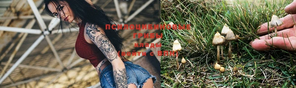 MDMA Premium VHQ Тайга