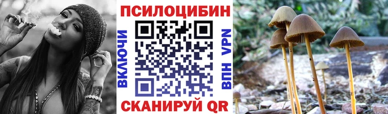 Псилоцибиновые грибы Psilocybine cubensis  Джанкой 
